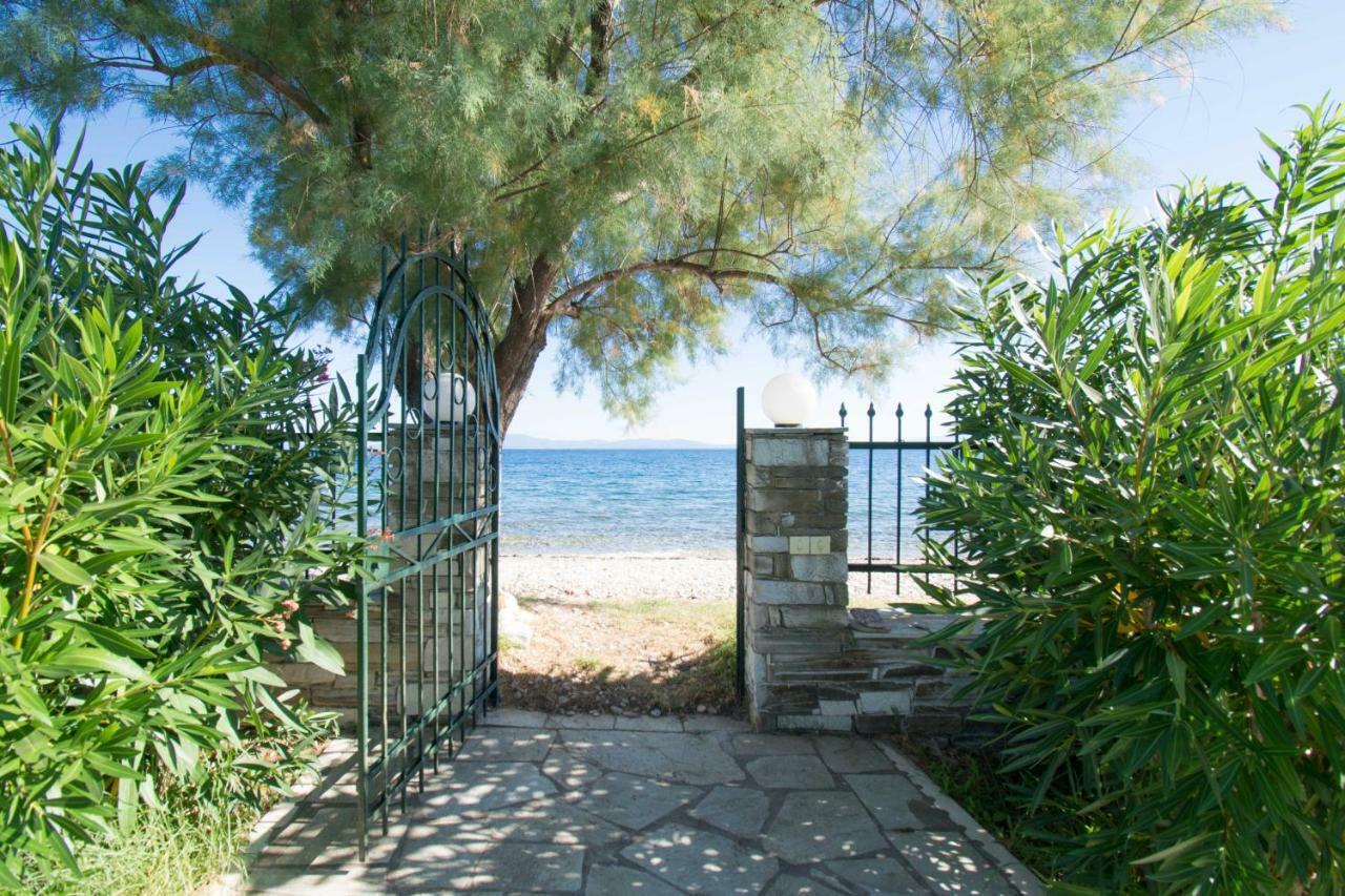 Romantic Seafront Studio - Dream Garden Platanidia Exterior foto